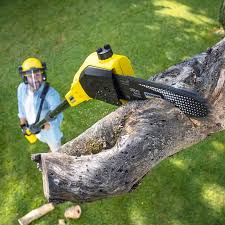 Best Landscape Design and Installation  in Pleasant Hill, OH