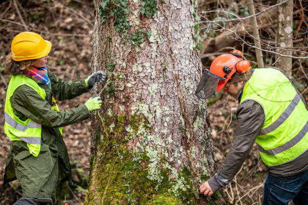 Best Hazardous Tree Removal  in Pleasant Hill, OH